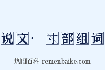 说文·寸部组词是什么意思的图片